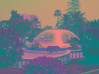 IMGP2829 edited (Medium)